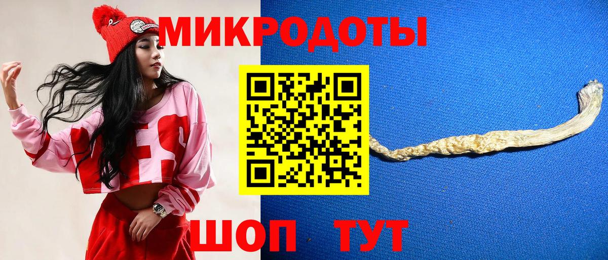 Галлюциногенные грибы Psilocybe Екатеринбург